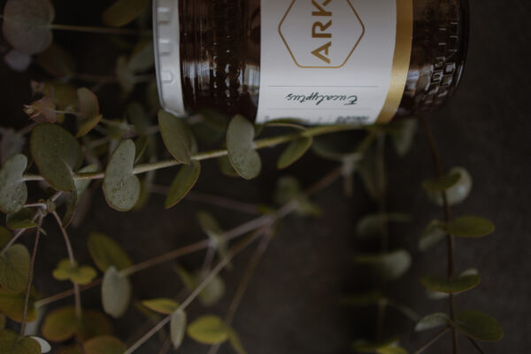 Eucalyptus Tuart - Image 4